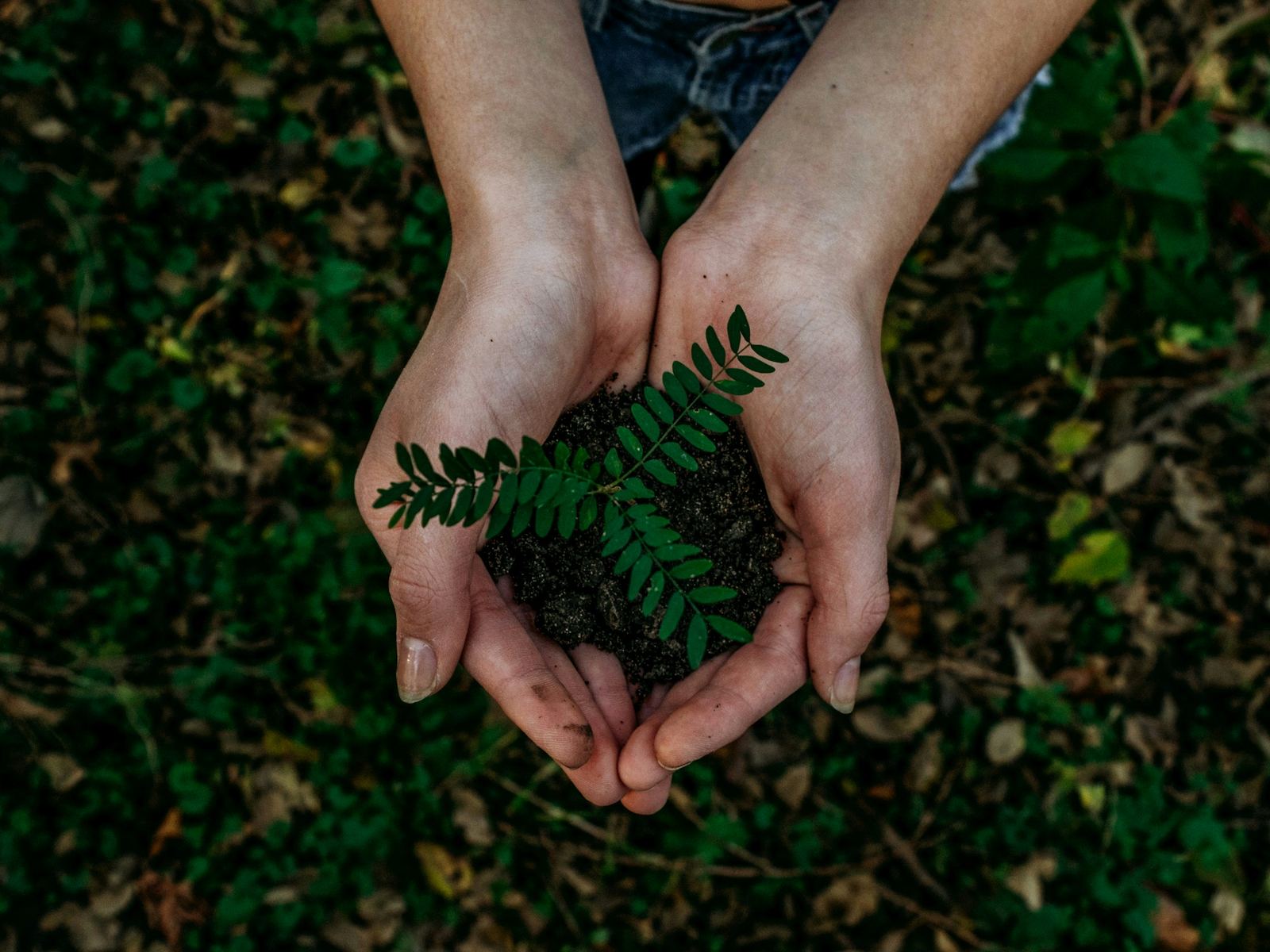 Sustainable Sourcing